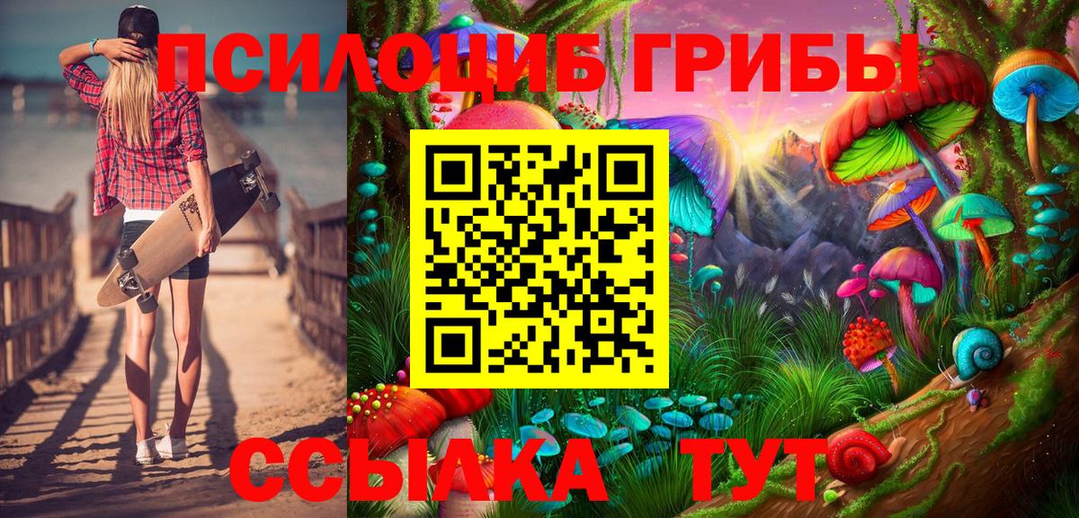 Петрозаводск  Псилоцибиновые грибы мицелий  Псилоцибиновые грибы мицелий  Вход с VPN 