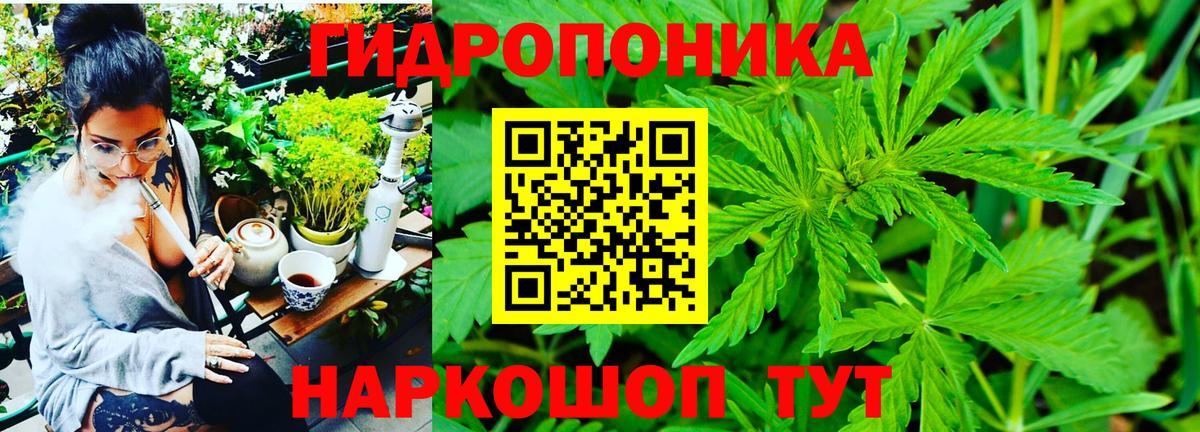 Шишки марихуана тримм  МАРИХУАНА SATIVA & INDICA  Вход с VPN  Петрозаводск  Каннабис LSD WEED 